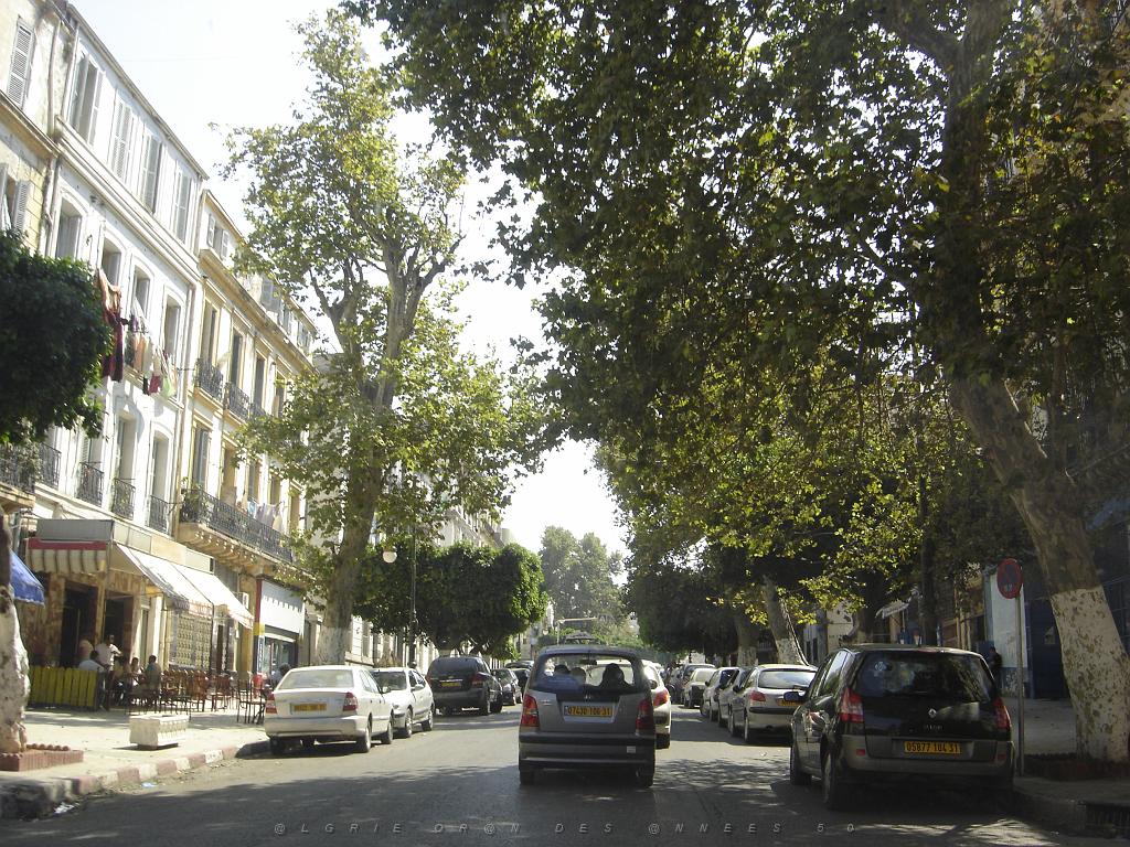 ORAN 2007 JUILLET 16 DE KEBIR A PLACE D ARMES-BD M KEDIM EX STALINGRAD.jpg